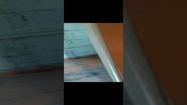 Дом с привидениями ⚠️?