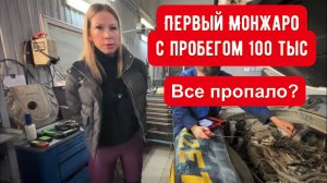Лиса рулит - подборы, топ авто и советы