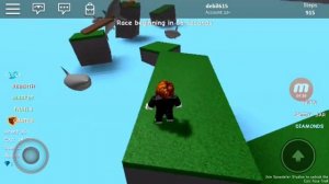 Roblox режим на телефоне