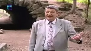 Андрей Синельников, писатель  - историк или фальсификатор истории?