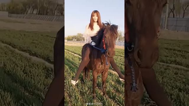 Beautiful girl riding on pony