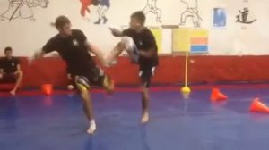 Entraînement de combat sambo ( MMA ) de team Bruzat sambo A