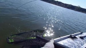 Щуки жрут _Наши_ Стримеры. Снова влетел ТРОФЕЙ.Рыбалка на ОБИ 2022.