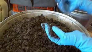 Биогумус. Чернозем собственного изготовления. Самая плодородная земля из органических отходов