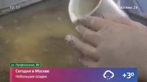 Как восстановить свое генеалогическое древо