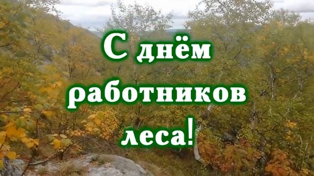 914 ПОЗДРАВЛЕНИЕ С ДНЕМ РАБОТНИКОВ ЛЕСА смотреть онлайн