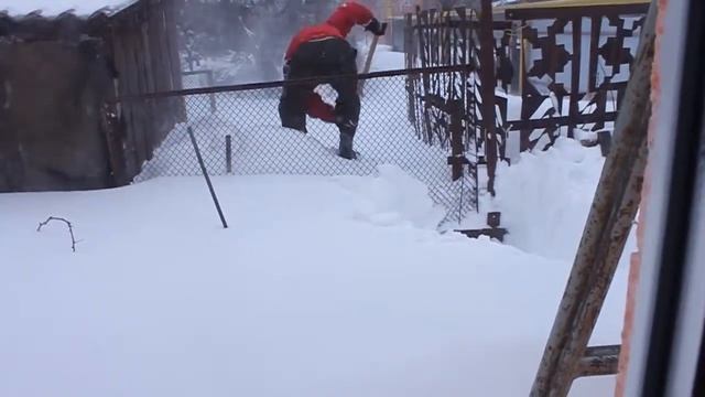 Спасение соседской собаки из снежного плена... смотреть онлайн