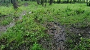 Металлокоп