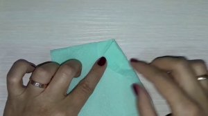 Рубашка из салфеток/Shirt from napkins
