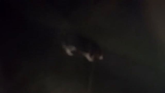 Тимка смотреть онлайн