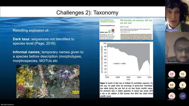 Biodiversity in the Deep Ocean смотреть онлайн