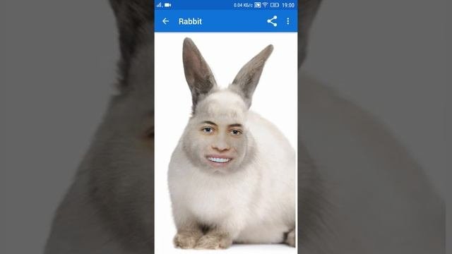 Обзор Photoshop и видеошопа