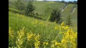 Отгремела гроза.