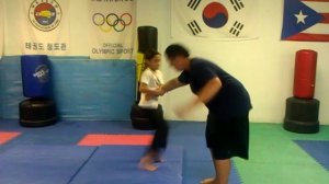 Vanelys-hapkido