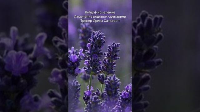Изменение родовых сценариев. Психологическая техника