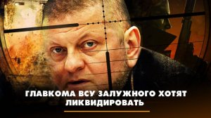 Главкома ВСУ Залужного хотят ликвидировать | ЧТО БУДЕТ | 08.11.2023