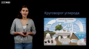 Закономерности существования биосферы. Круговорот веществ в биосфере. Урок 31. Биология 11 класс