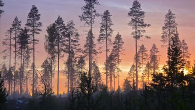 Alexander Rybak - Fairytale(instrumental) смотреть онлайн