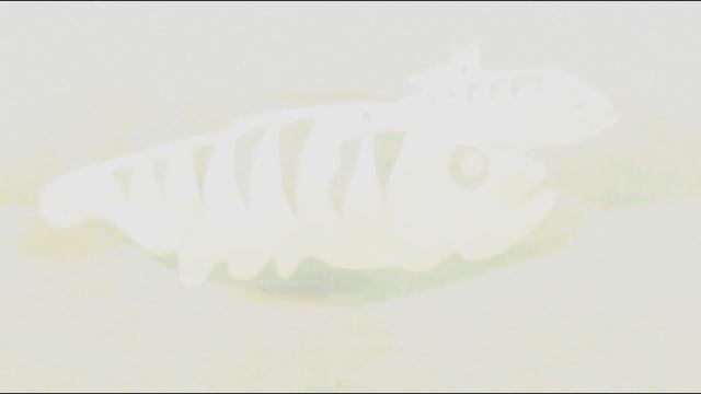 интро на тему рыбалка смотреть онлайн