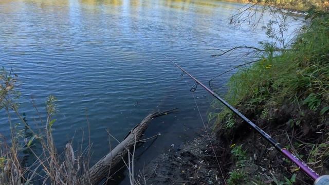 Вот ЭТО начало РЫБАЛКИ! Кто ТЫ ВООБЩЕ ТАКОЙ??? смотреть онлайн