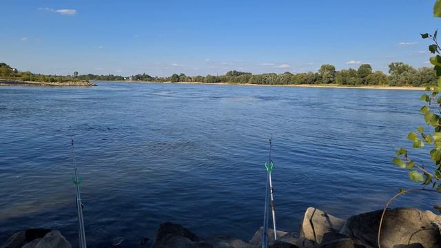 Расслабляющая видео заставка о рыбалке. Рыбалка на Рейне. Relaxing screensaver Fishing Video. 4К смотреть онлайн