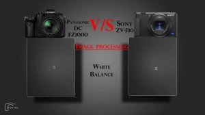 Panasonic Lumix DC FZ1000 vs Sony ZV 1