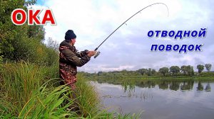 ОТВОДНОЙ РУЛИТ. Жирный окунь на СЛАГ и МИНОШКУ. Рыбалка на ОКЕ в начале октября.