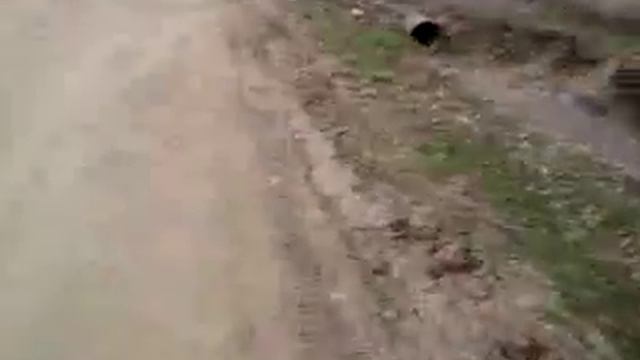 вызываем чертика смотреть онлайн