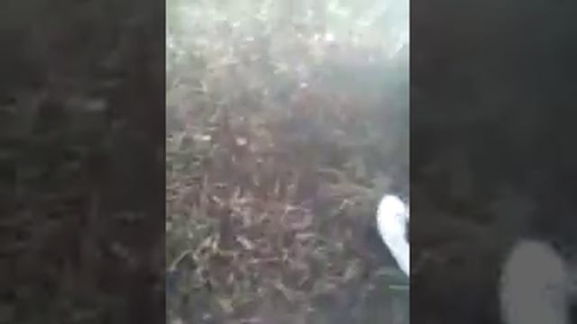 Снимаем плёнку смотреть онлайн