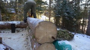 Heavy Lifting Alone! Building an Off Grid Log Cabin in the Woods | Alone in the Wilderness, Ep6