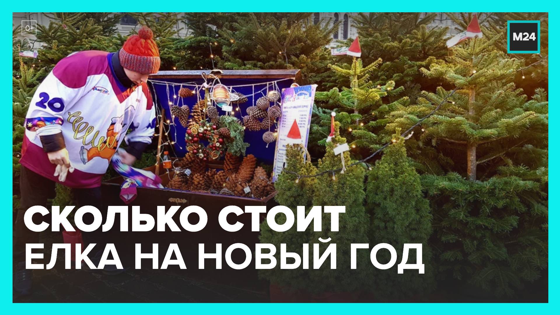 Россиянам рассказали о стоимости новогодних елок - Москва 24