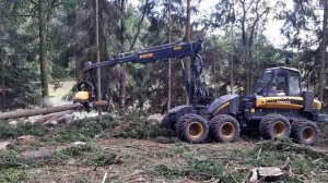 Harvester Ponse ERGO 8x8 , Harvester work
