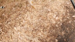 Ловля на удочку с боковым кивком Как я ловил на поролон
