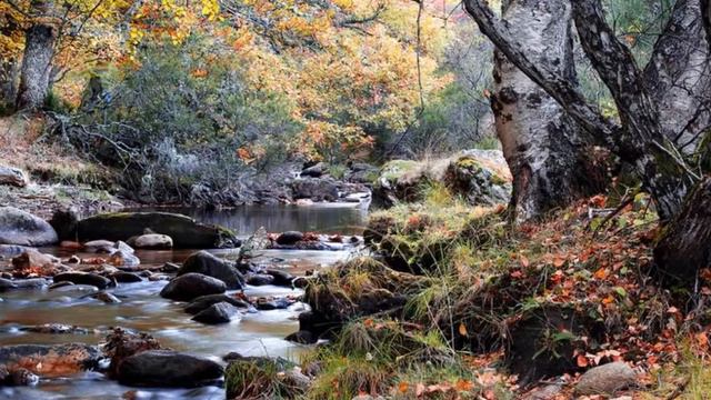 Cancionero de Palacio. "Por las sierras de Madrid" смотреть онлайн