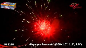 Фейерверк Горжусь Россией! ( 1,0",1,2",1,5"х308 залпов) PC 9245