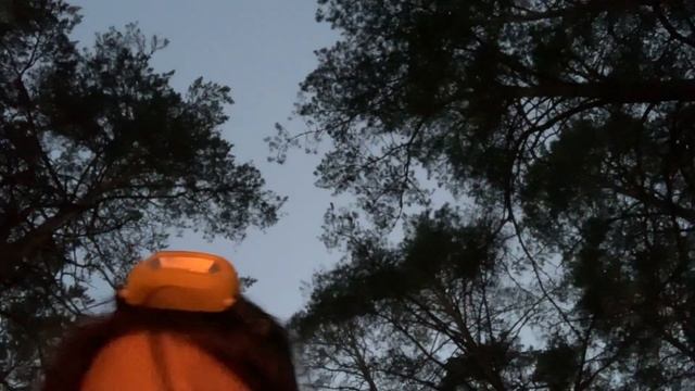 Поход с Палатками| Псковская область