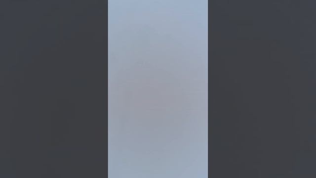 УТРЕНЯЯ ПРОВЕРКА ЖЕРЛИЦ, ШНУРОК И МАМКА смотреть онлайн