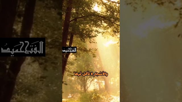 مراحل حياتك كلها في آية، شذرات ثمينة ودرر دفينة تنير بها دربك الطويل وتهتدي بها لسواء السبيل. смотреть онлайн