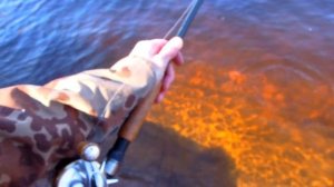 Тейлспиннер (вертихвост) захлестывается или нет.