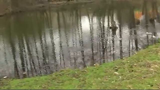 Билефельдеры смотреть онлайн