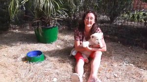 Крым. Тайган. Белый славный львенок сам пришел на ручки...