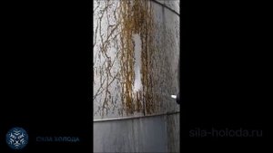 Криобластинг в Томске. Клининговая компания Сила Холода