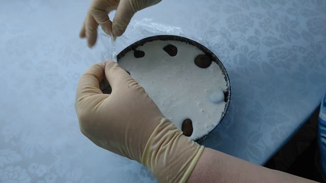 ТОРТ ЖЕЛЕ ПОКРЫТЫЙ ШОКОЛАДОМ