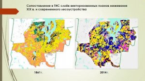 Переложное земледелие в окрестностях Кирилло-Челмогорского монастыря
