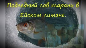Ейск. Азовское море. Подледный лов тарани в Ейском лимане. Зимняя Рыбалка .