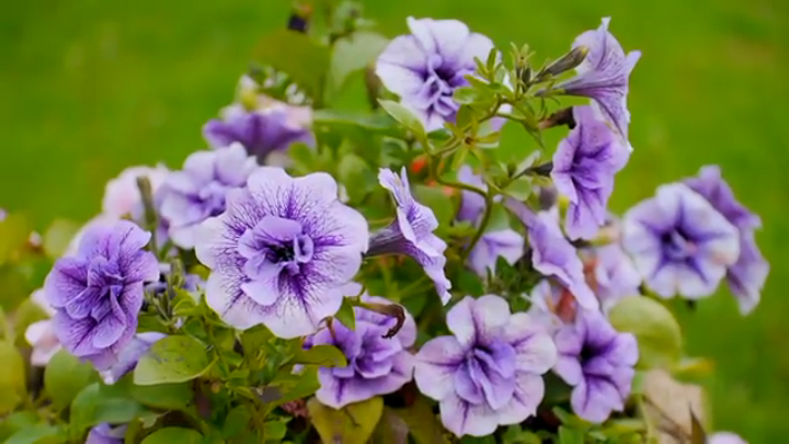 RW_5Collor_Холодное лето 2013 смотреть онлайн