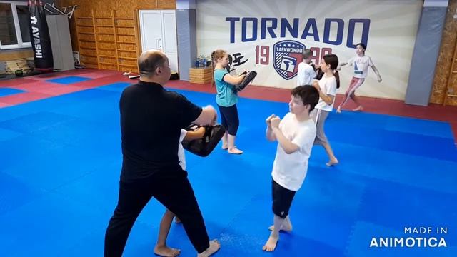 учимся работать в парах на макиваре #тхэквондо #спорт #волгоград #тренер #михаилчистяков #дети смотреть онлайн