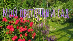 Мой цветочный сад!
