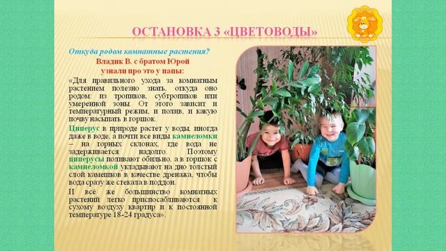 Путешествие в мир комнатных растений смотреть онлайн