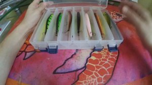 Рыболовные коробки для приманок (воблеров)